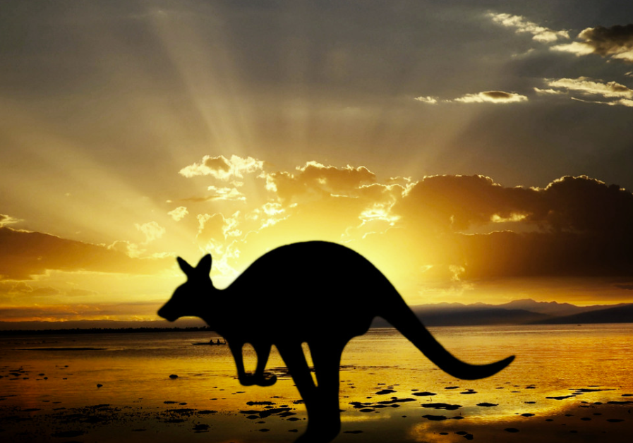 您最关心的澳洲留学问题总结来啦！一文帮你了解澳洲留学方方面面。