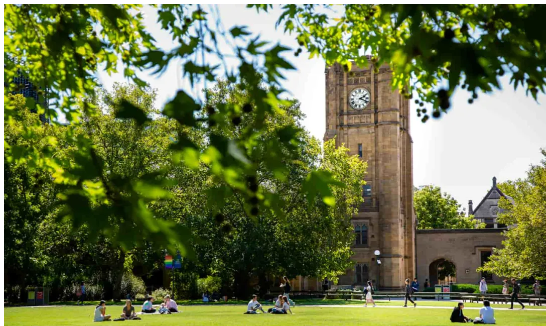 1750685774106869.png image.png